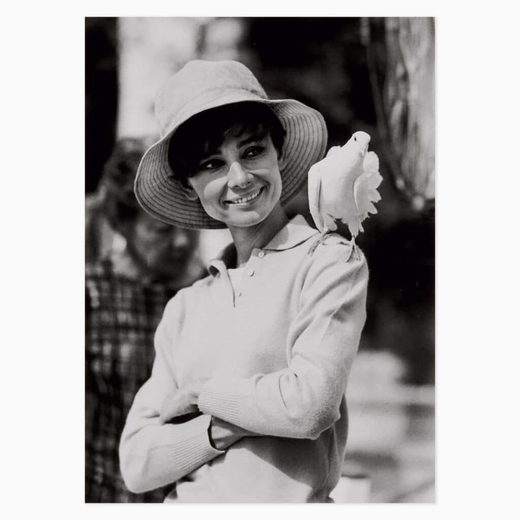 Terry O’Neill limited edition print titled ‘Audrey Hepburn with Dove’ depicting the legendary performer in classic photographic style