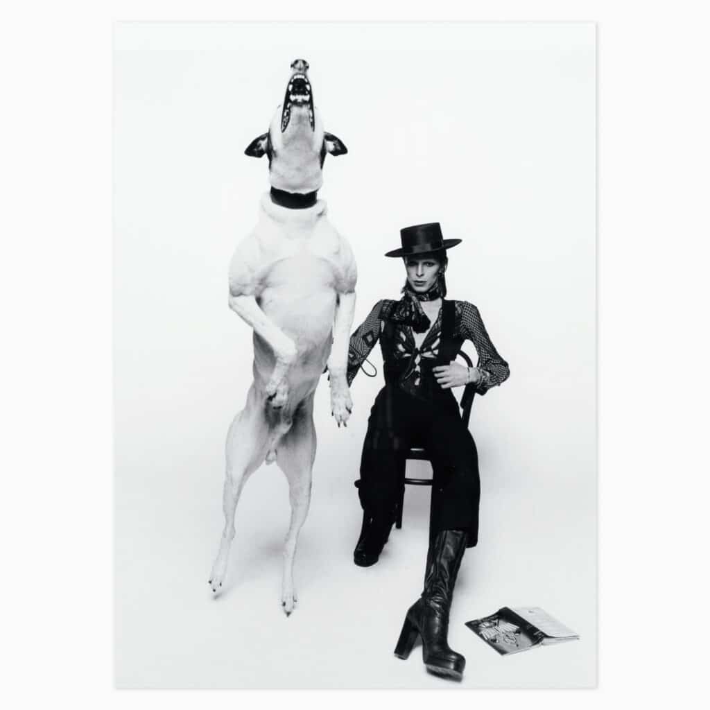 Terry O’Neill limited edition print titled ‘David Bowie with Jumping Dog’ depicting the iconic performer interacting with a dog in classic photographic style