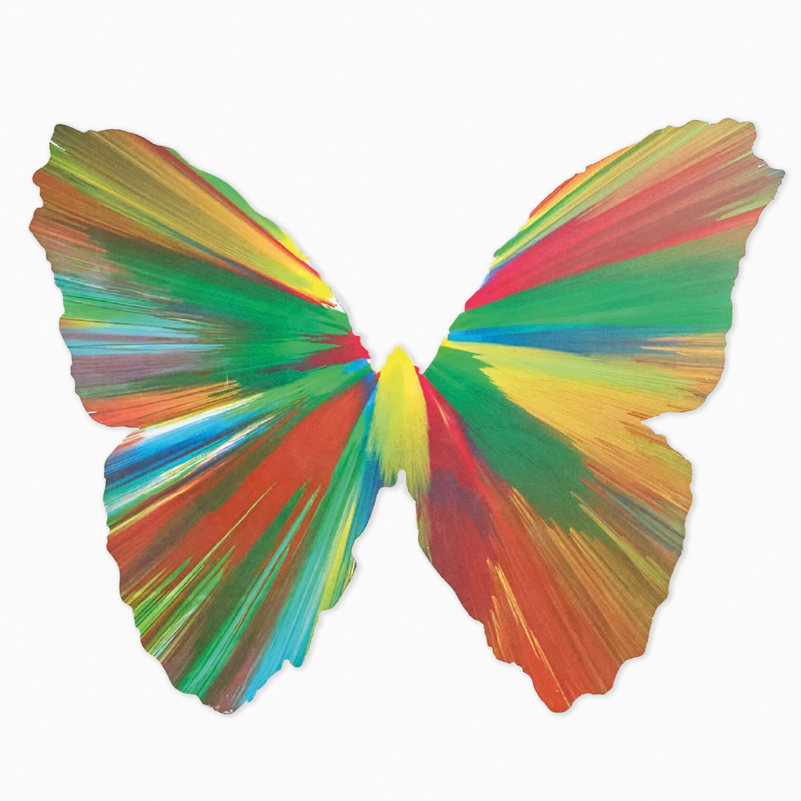Limited edition Damien Hirst artwork ‘Butterfly Spin Painting’ featuring vibrant abstract colours arranged in circular spin painting style.