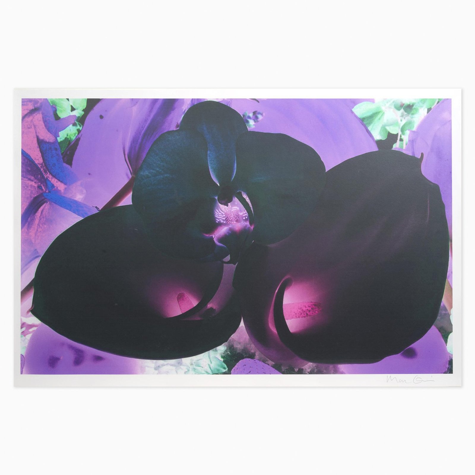 Limited edition Marc Quinn print ‘At the Far Edges of the Universe’ with atmospheric, otherworldly imagery.