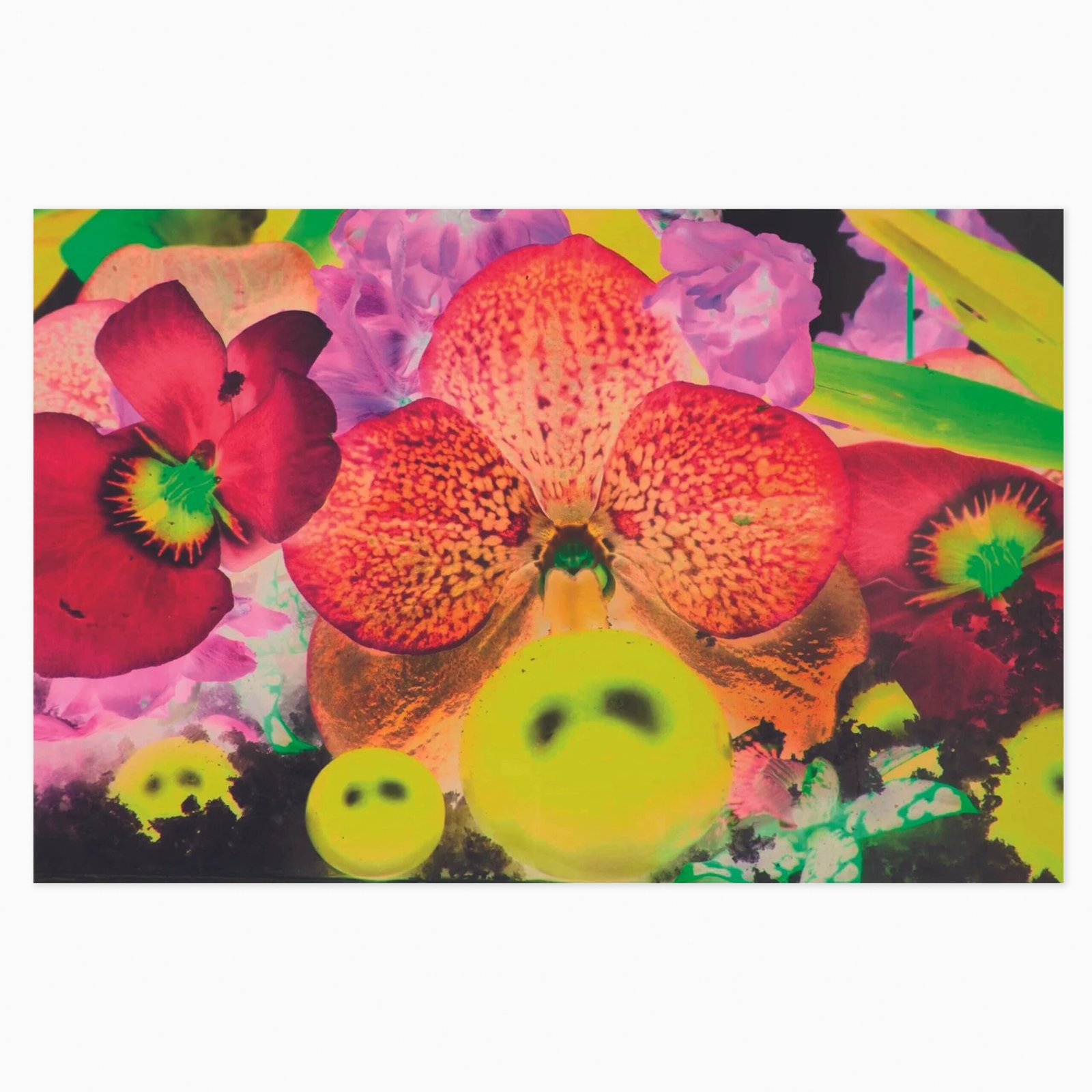 Limited edition Marc Quinn artwork ‘Sepas Mous’ featuring detailed, expressive floral and abstract imagery.
