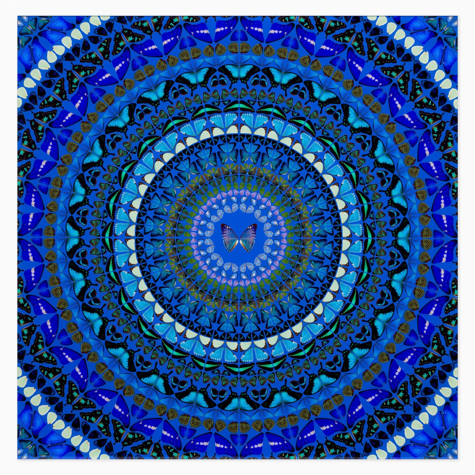 Limited edition Damien Hirst artwork ‘Water (H6-9)’ featuring abstract forms and vivid, butterflies and fluid colours.