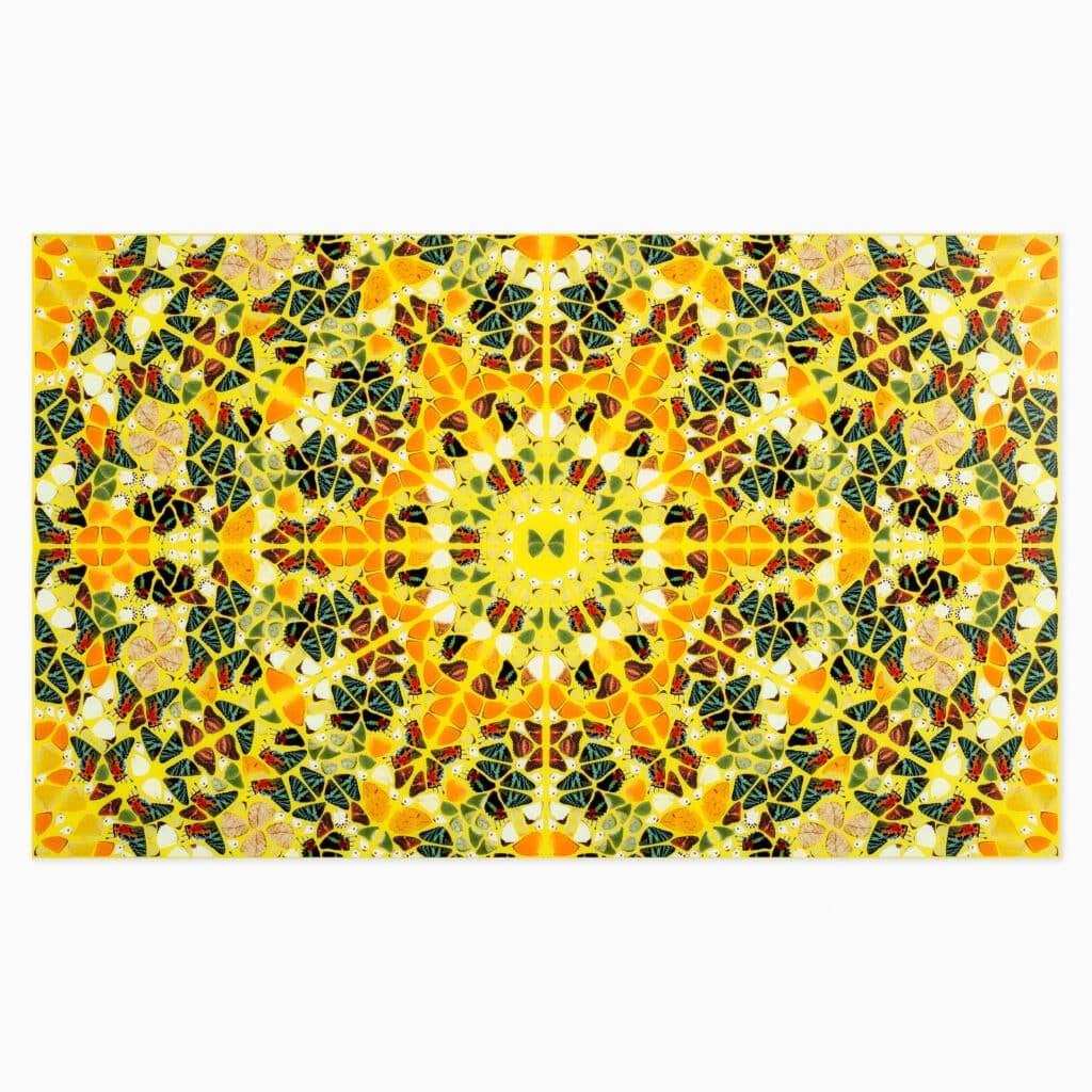 Limited edition Damien Hirst artwork ‘H18-4 Splendour from the Kaleidoscopes’ featuring vibrant, kaleidoscopic patterns with butterly-inspired motifs