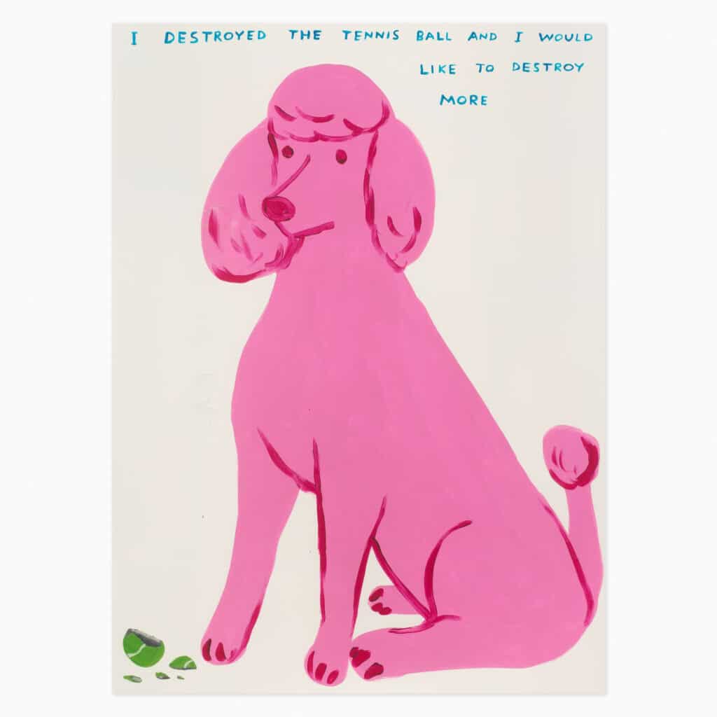 Limited edition David Shrigley artwork ‘I Destroyed The Tennis Ball’ featuring his signature humourus imagery